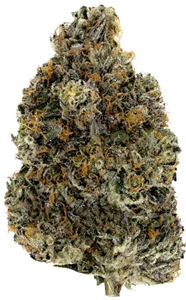 Woody Nelson: Pink Kush Craft (3.5g)