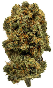 1964: Blue Dream (3.5g)