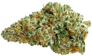 Pure Sunfarms: Queen Green (28g)